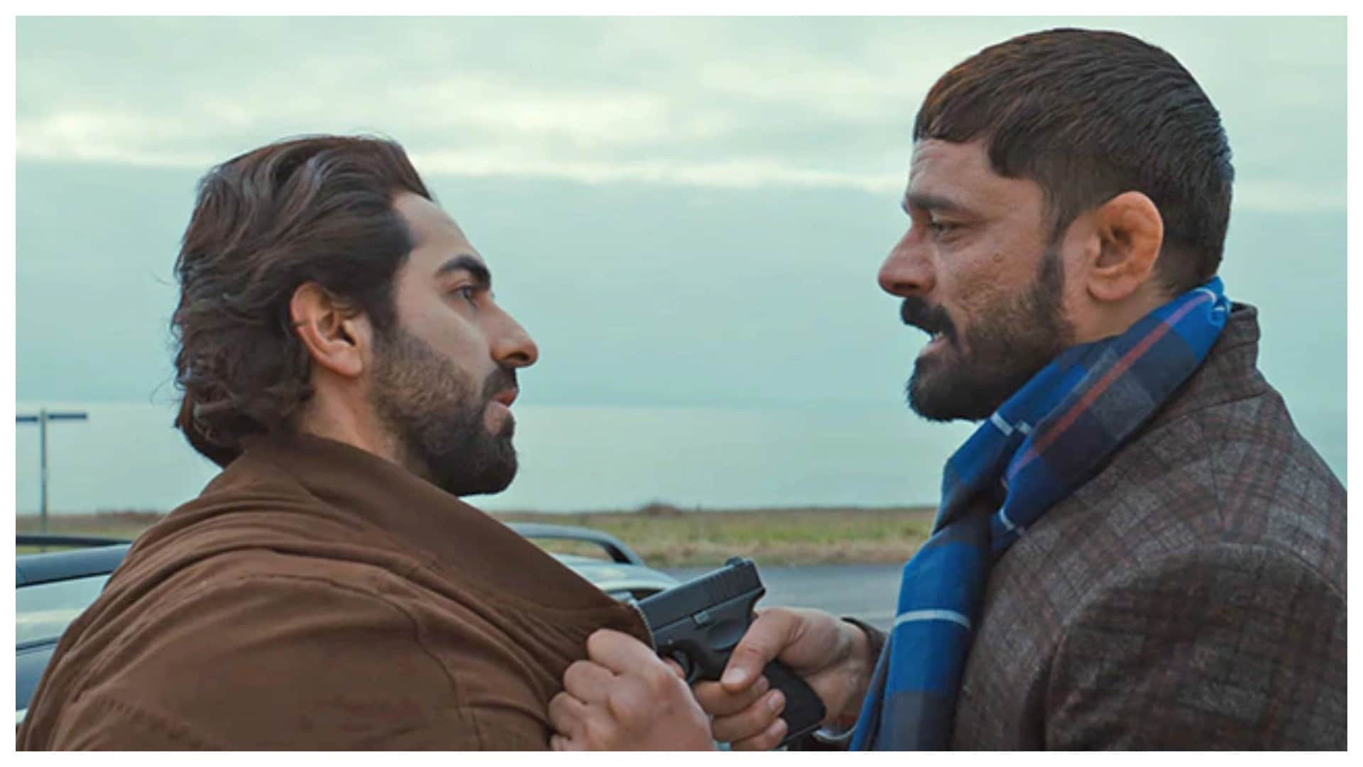 Year Ender 2022: These films showed Actors In A different Look Ranbir Kapoor Shamshera To Kartik Aaryan Freddy