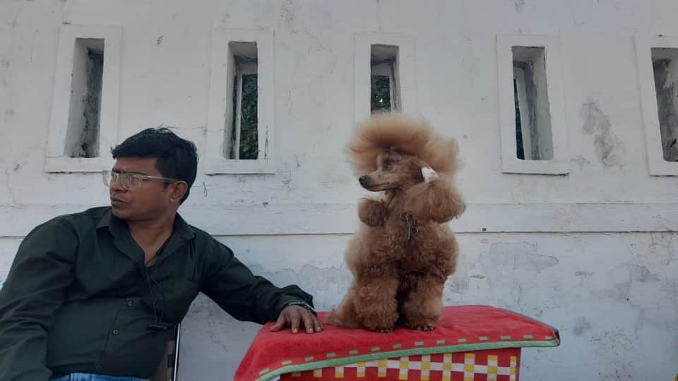 dehradun News: Various breeds dogs come in  dog show 2022 See Photos