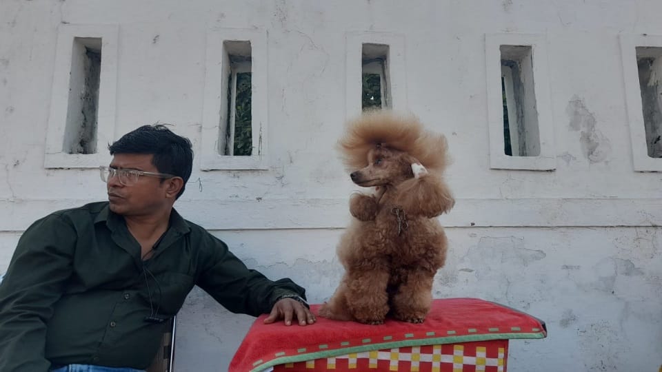 dehradun News: Various breeds dogs come in  dog show 2022 See Photos
