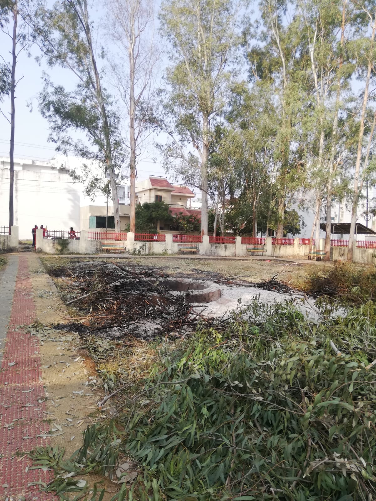 MP News: State's Forest Force Chief got permission from Bhopal Nani to cut down 29 trees in his colony