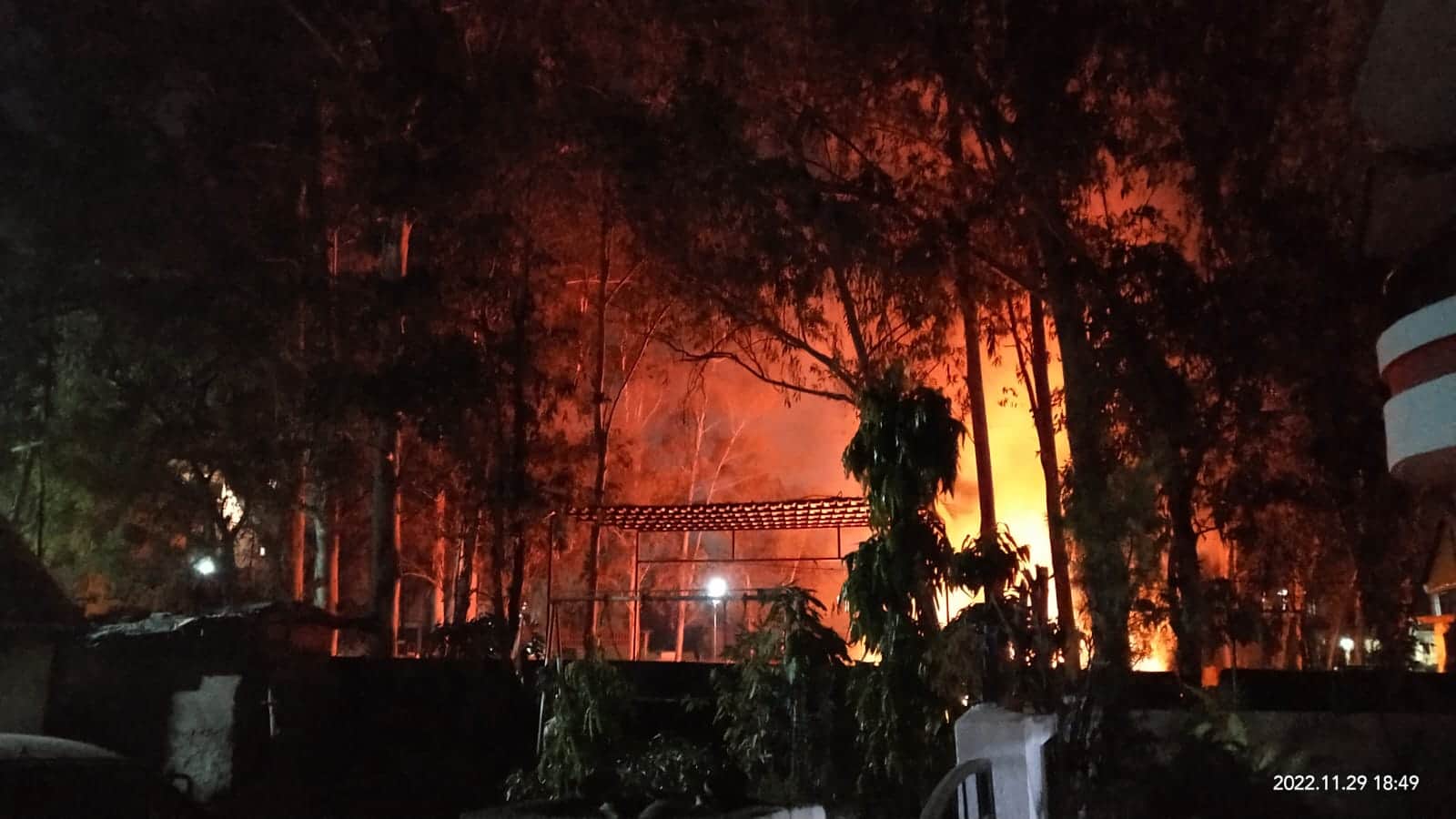 MP News: State's Forest Force Chief got permission from Bhopal Nani to cut down 29 trees in his colony