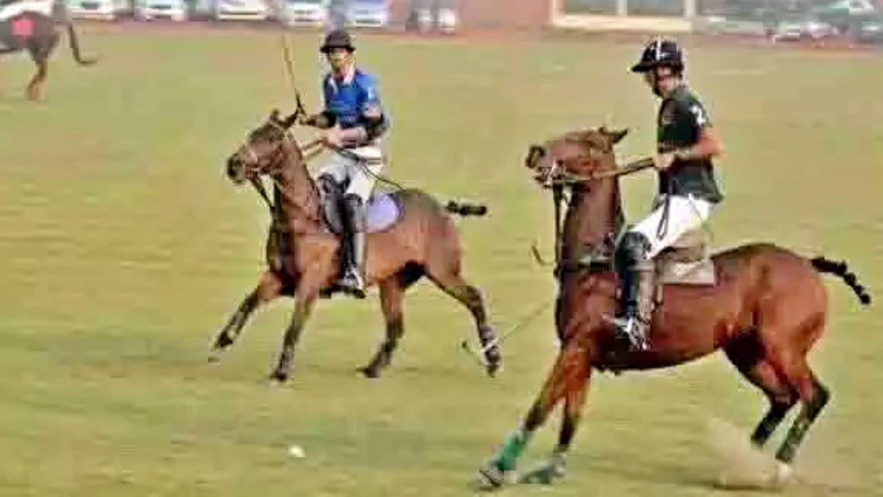 23rd polo season starts from December 6 polo players from country and abroad reach Jodhpur