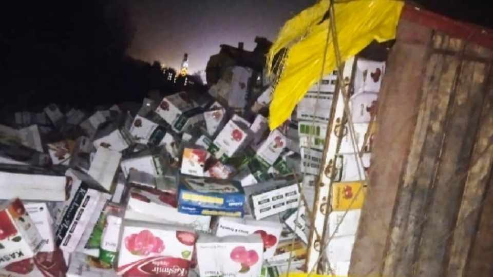 Video of looting apple crates from truck goes viral in Punjab