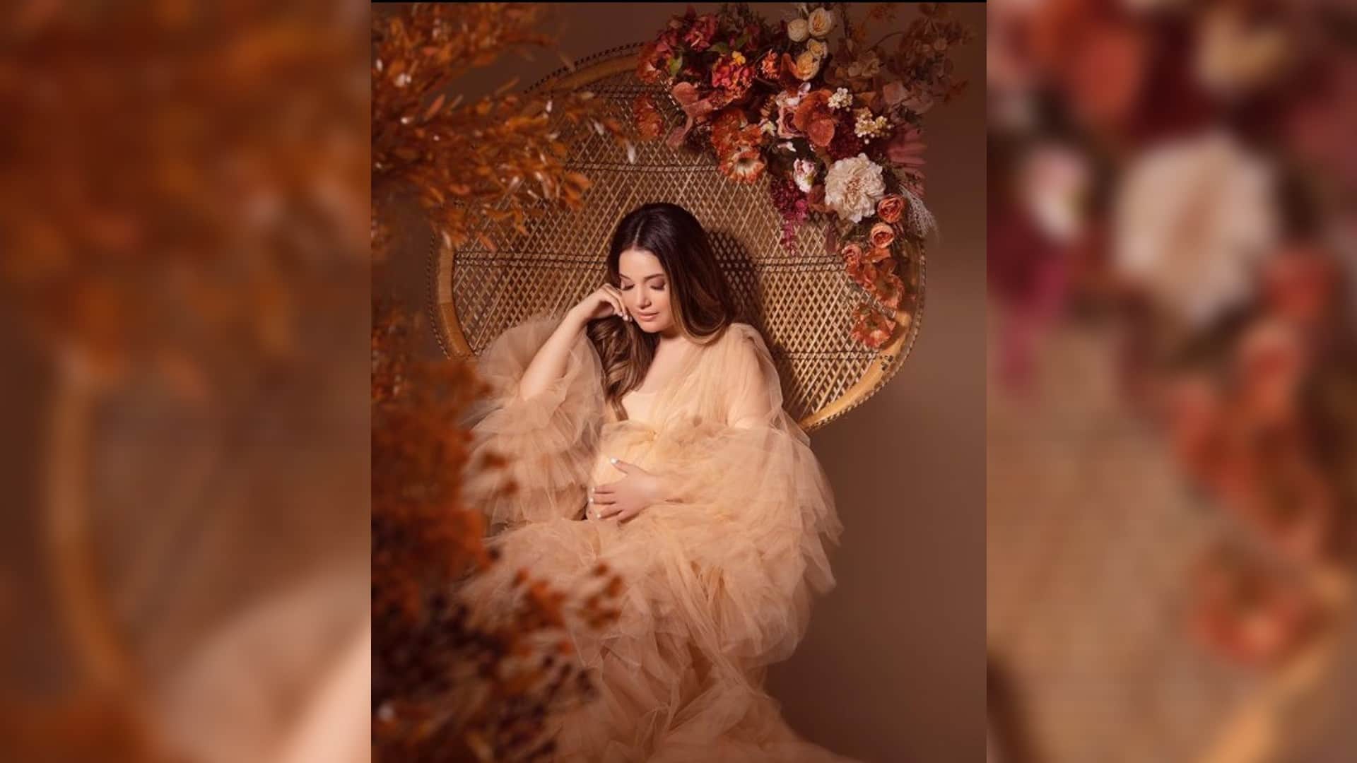 Pakistani actress armeena rana khan gave a befitting reply to trollers on her pregnancy shoot