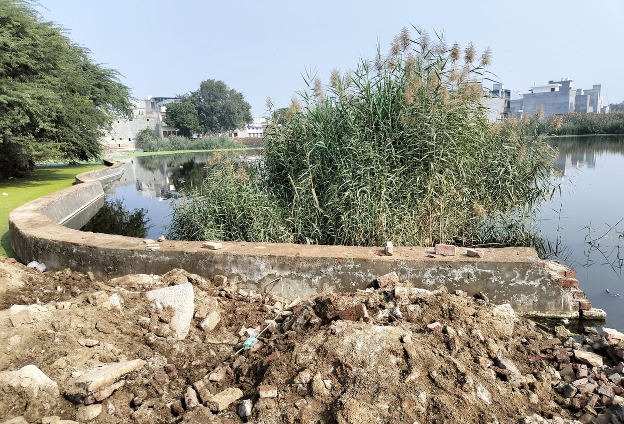 The old Johads of the city remained historical and did not become philosophical places, every year accidents started happening in marshy water.