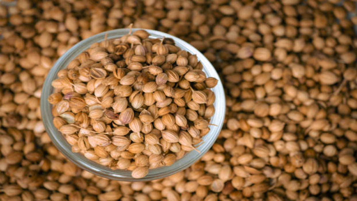 Astro Tips: Coriander Remedies Know How Dhania Bring Money and Prosperity at Home