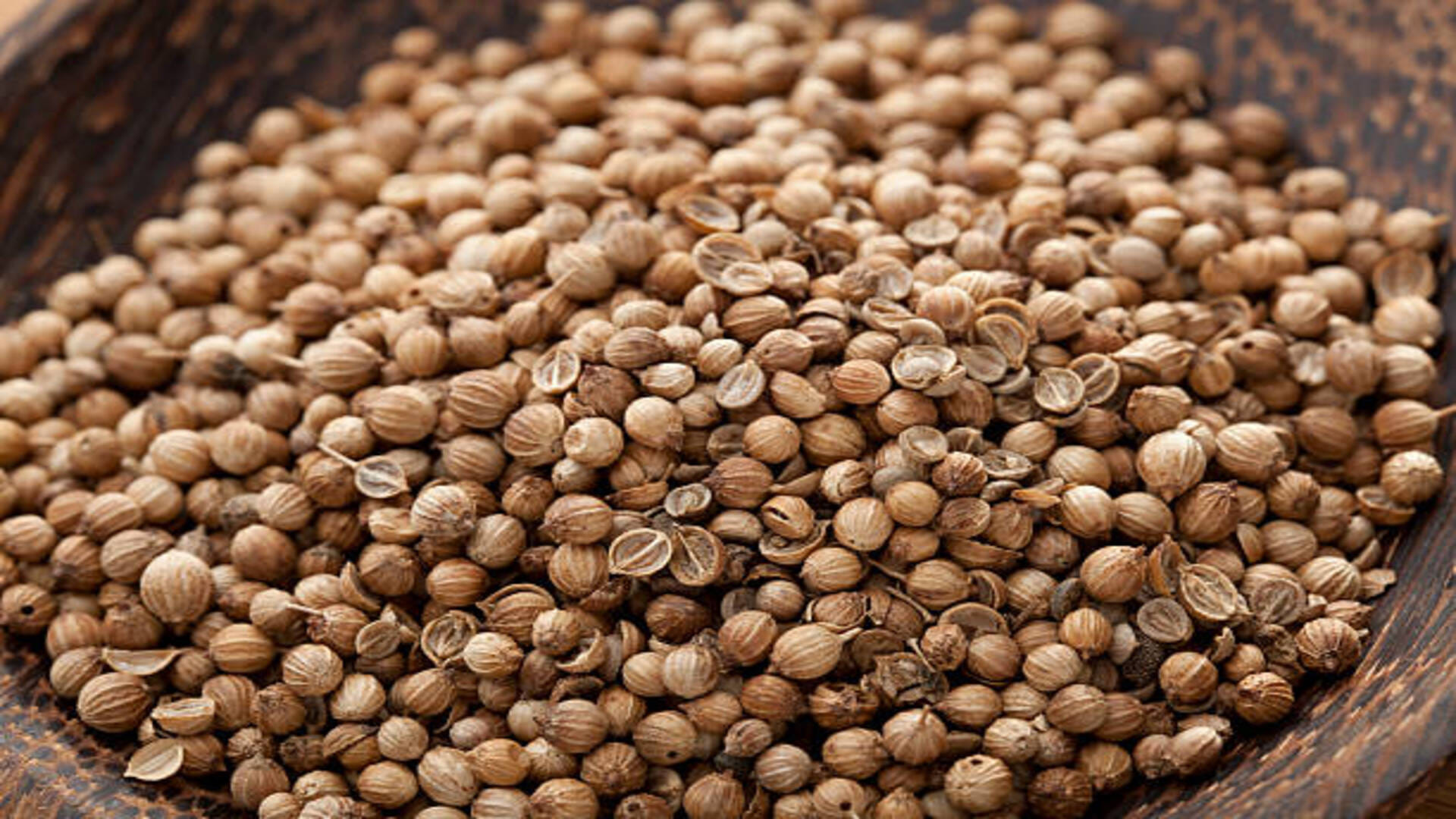 Astro Tips: Coriander Remedies Know How Dhania Bring Money and Prosperity at Home