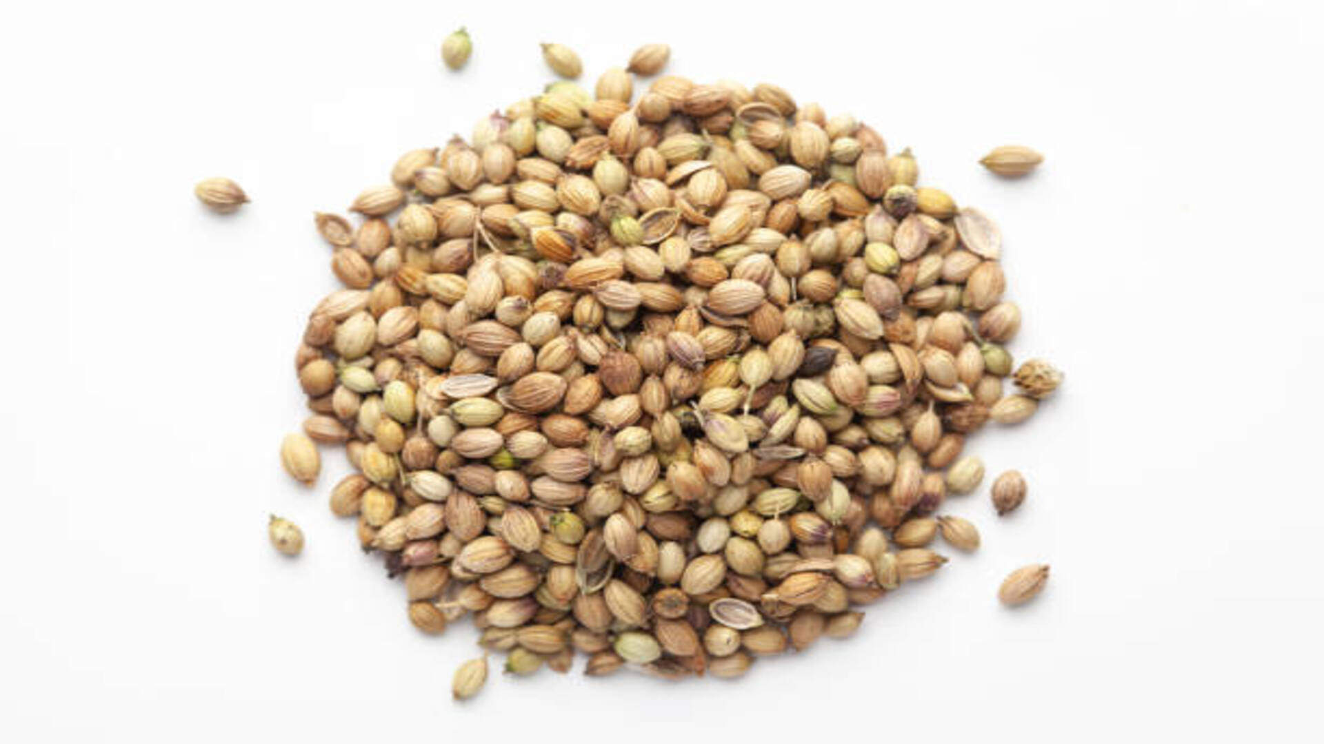 Astro Tips: Coriander Remedies Know How Dhania Bring Money and Prosperity at Home