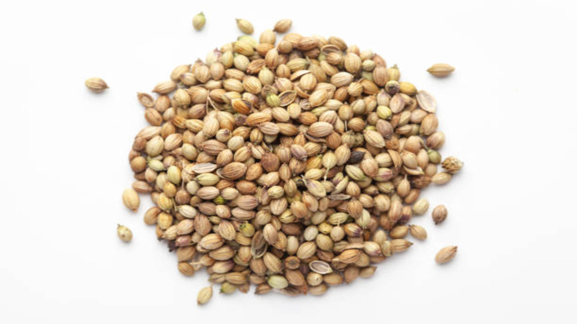 Astro Tips: Coriander Remedies Know How Dhania Bring Money and Prosperity at Home