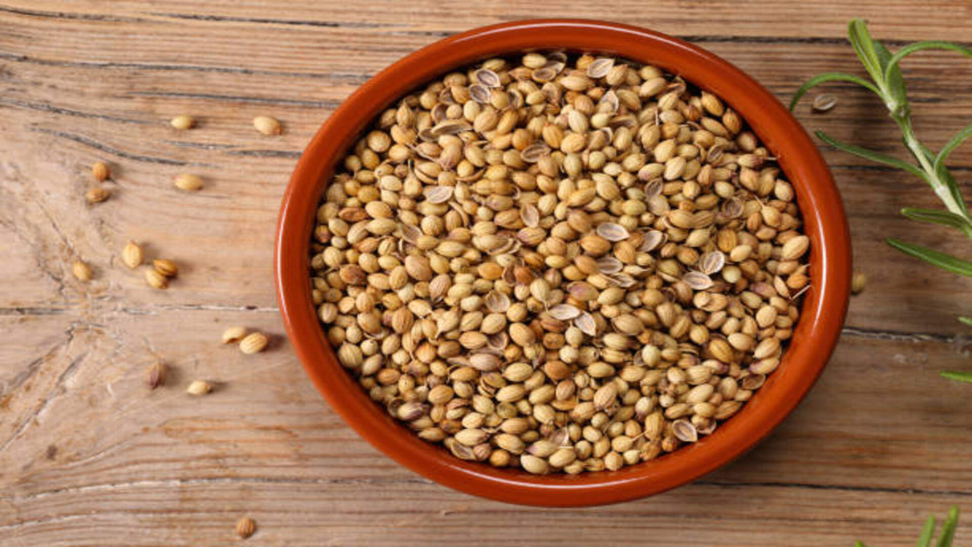 Astro Tips: Coriander Remedies Know How Dhania Bring Money and Prosperity at Home