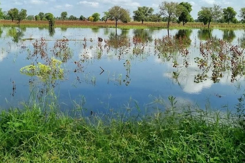 Waterlogged area increasing instead of decreasing in the district, sowing of wheat could not be done in 15 villages