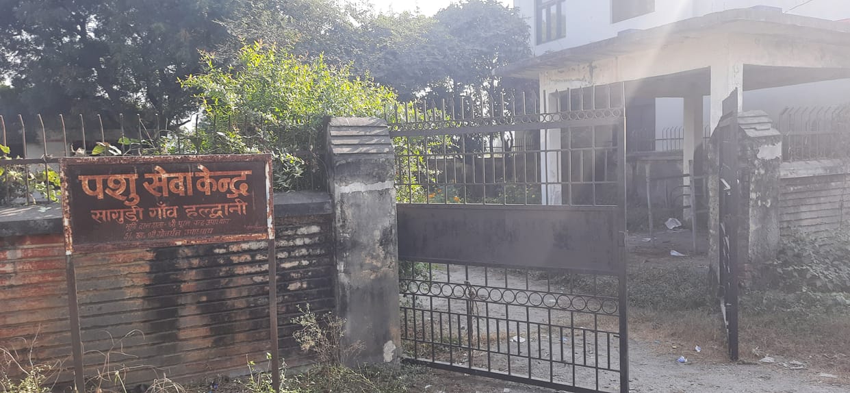 Saguri animal service center in bad condition, department is not taking care