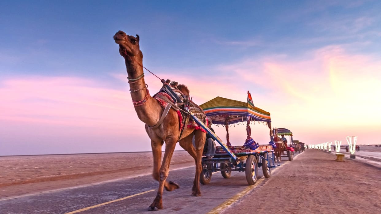 IRCTC Tour Packages for Gujarat Tourist Destinations Check Trip Price and Booking Details