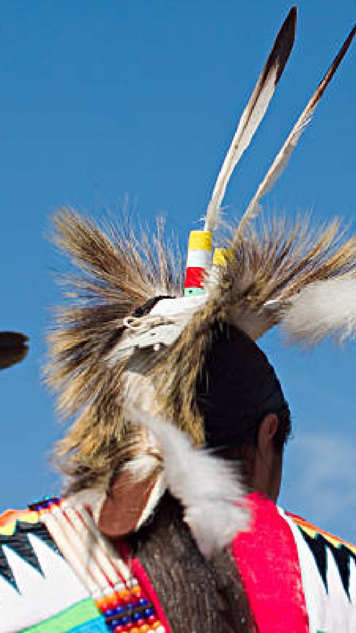 Fulani Tribe: men beaten with stick to get wife fulani tribe africa sharo festival weird tradition