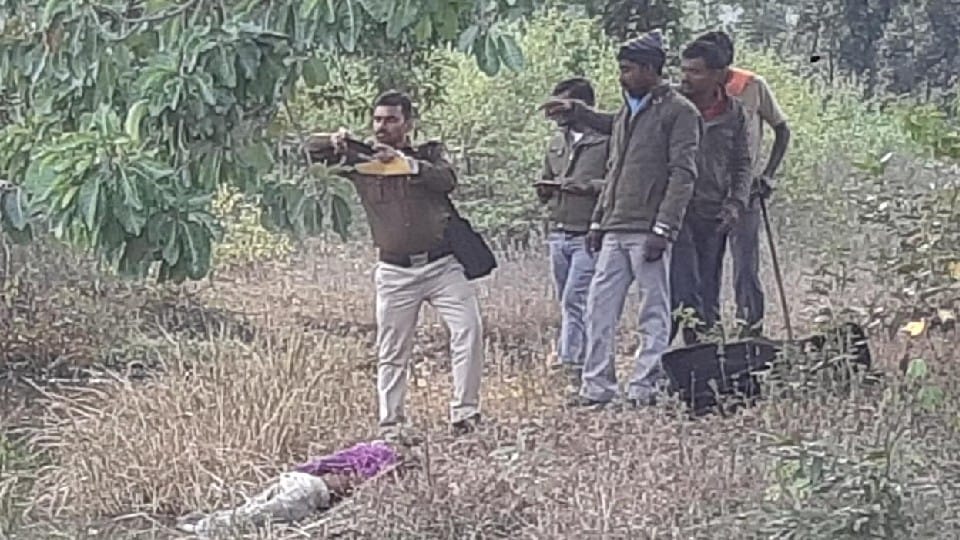 MP News: Jumped into the pool to avoid the attack of bees, lost his life due to drowning