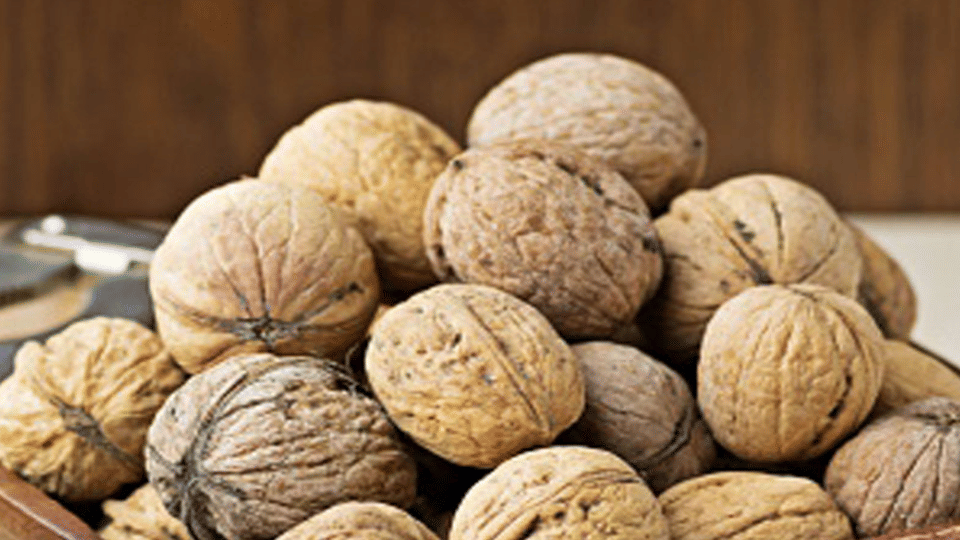 Missionary school fined children for bringing walnuts in Agra