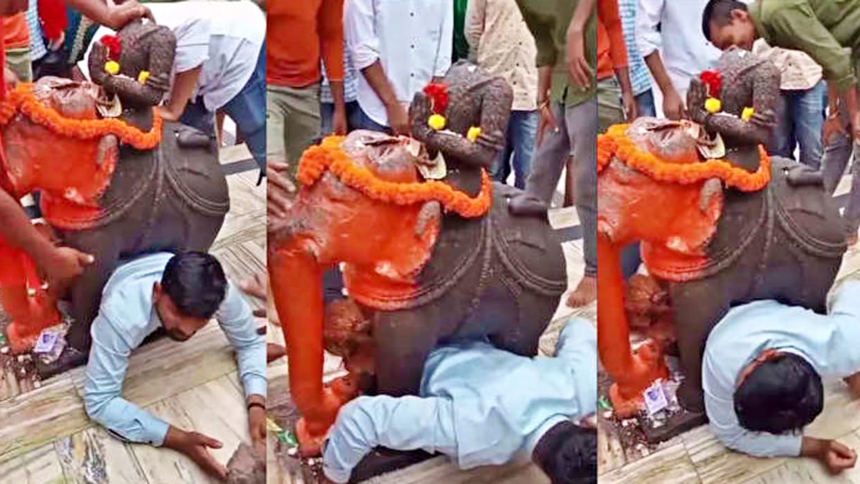 Devotee Stuck Under Elephant Statue In Amarkantak Mandir What Happen Watch in Video