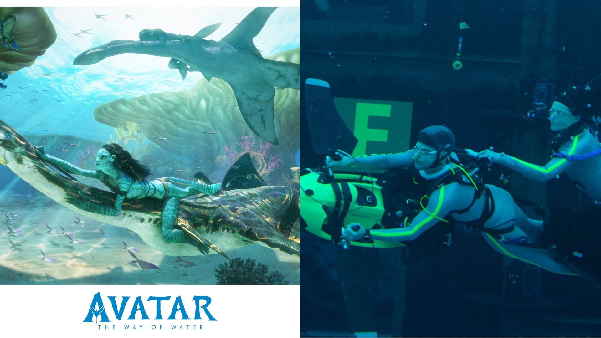 Avatar The Way of Water bts see photos of underwater shooting of james cameron movie