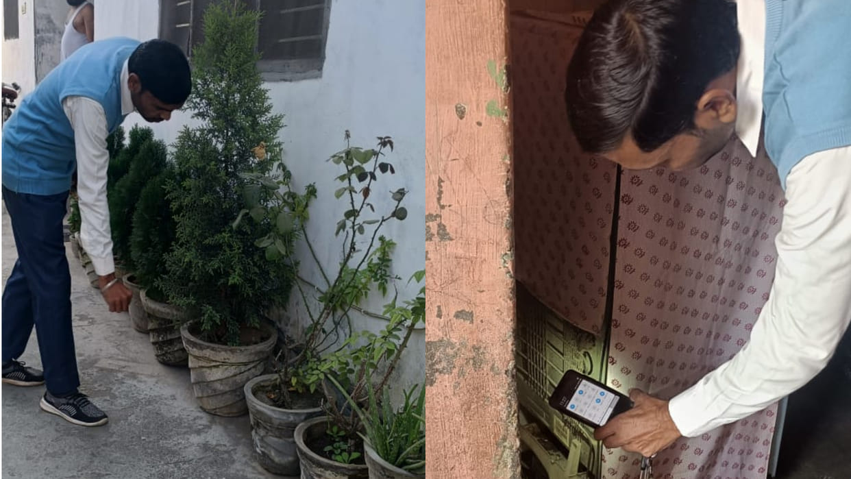 Three patients of Yamunanagar died of dengue in PGI Chandigarh