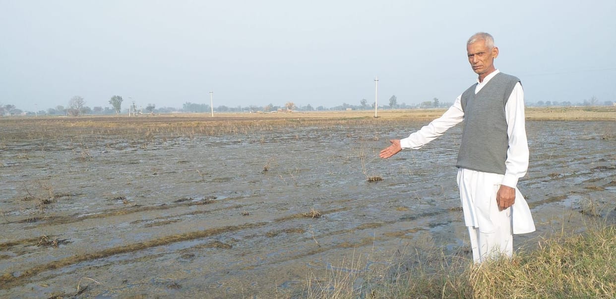 Water filled in the field in Gharaundi village, wheat was not sown in 600 acres