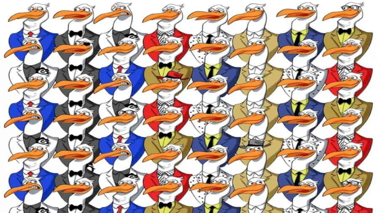 optical illusion picture find hidden penguin among ostriches photo interesting picture optical quiz in hindi