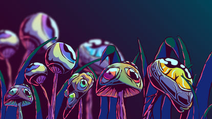 Psychedelic Explained: How Psychedelic Drugs Can Play Game Changer Roll in Treatment of Anxiety and Depression