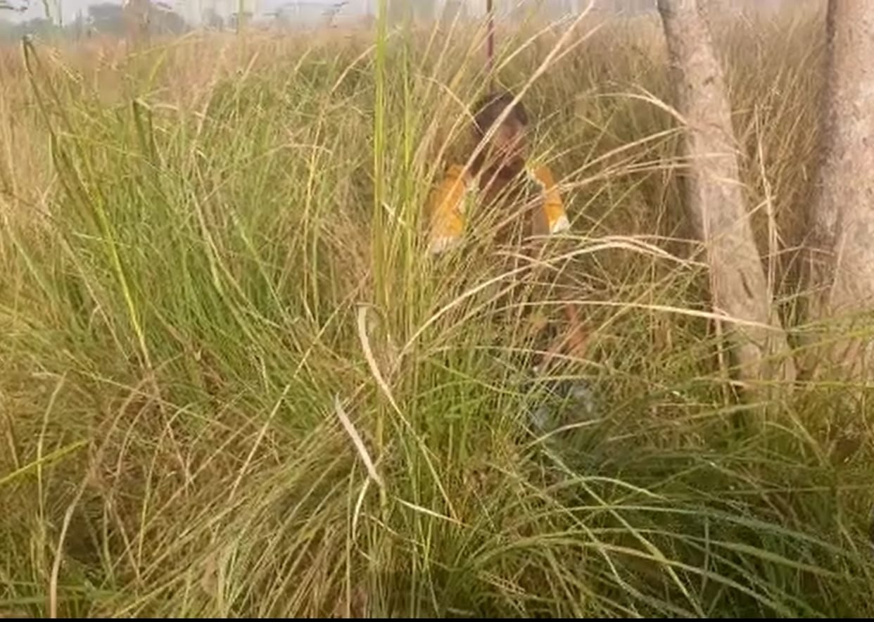 Siwan: Young Man Dead body hanged after cut private part missing since evening