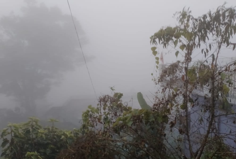 Uttarakhand Weather: Temperature down every day and Fog Increase in every district