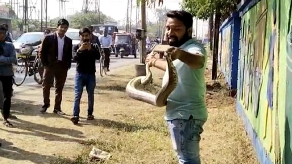 rescue team caught 10 feet long python that came out on road in korba
