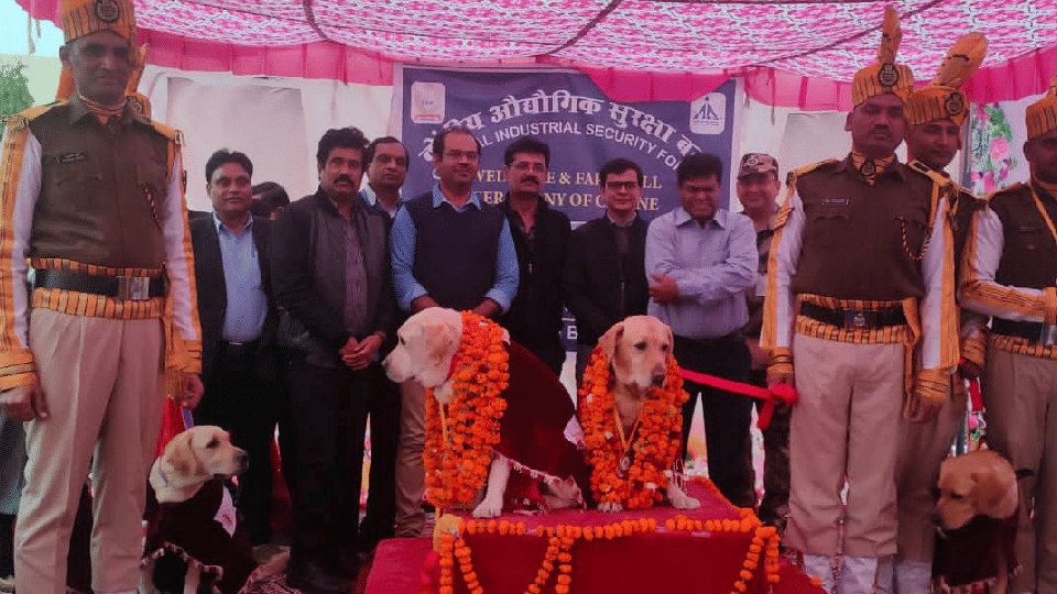 MP News: 'Orio' and 'Sheru' To Replace 'Mani' and 'Monty' in The Security Squad Of Raja Bhoj Airport