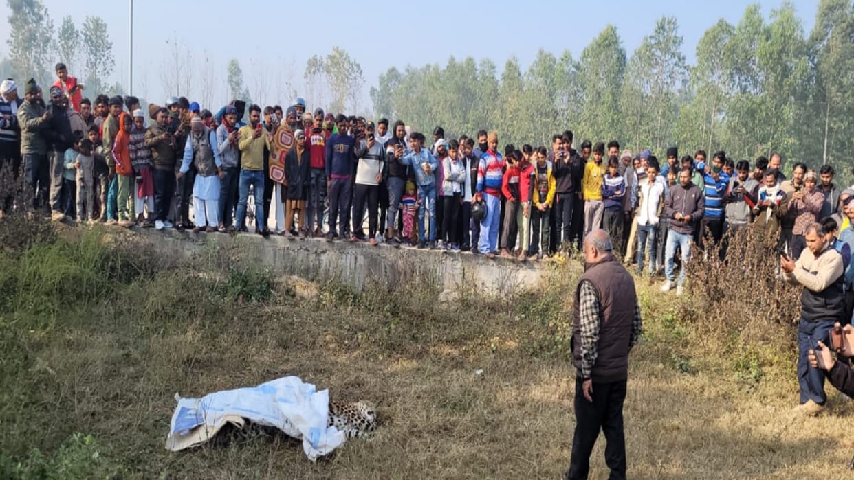 Guldar body has found in an empty plot in Nagina of Bijnor district