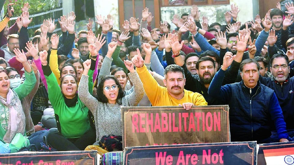 Jammu Kashmir: Kashmiri Pandit employees scared of terrorists threat, protest in Jammu