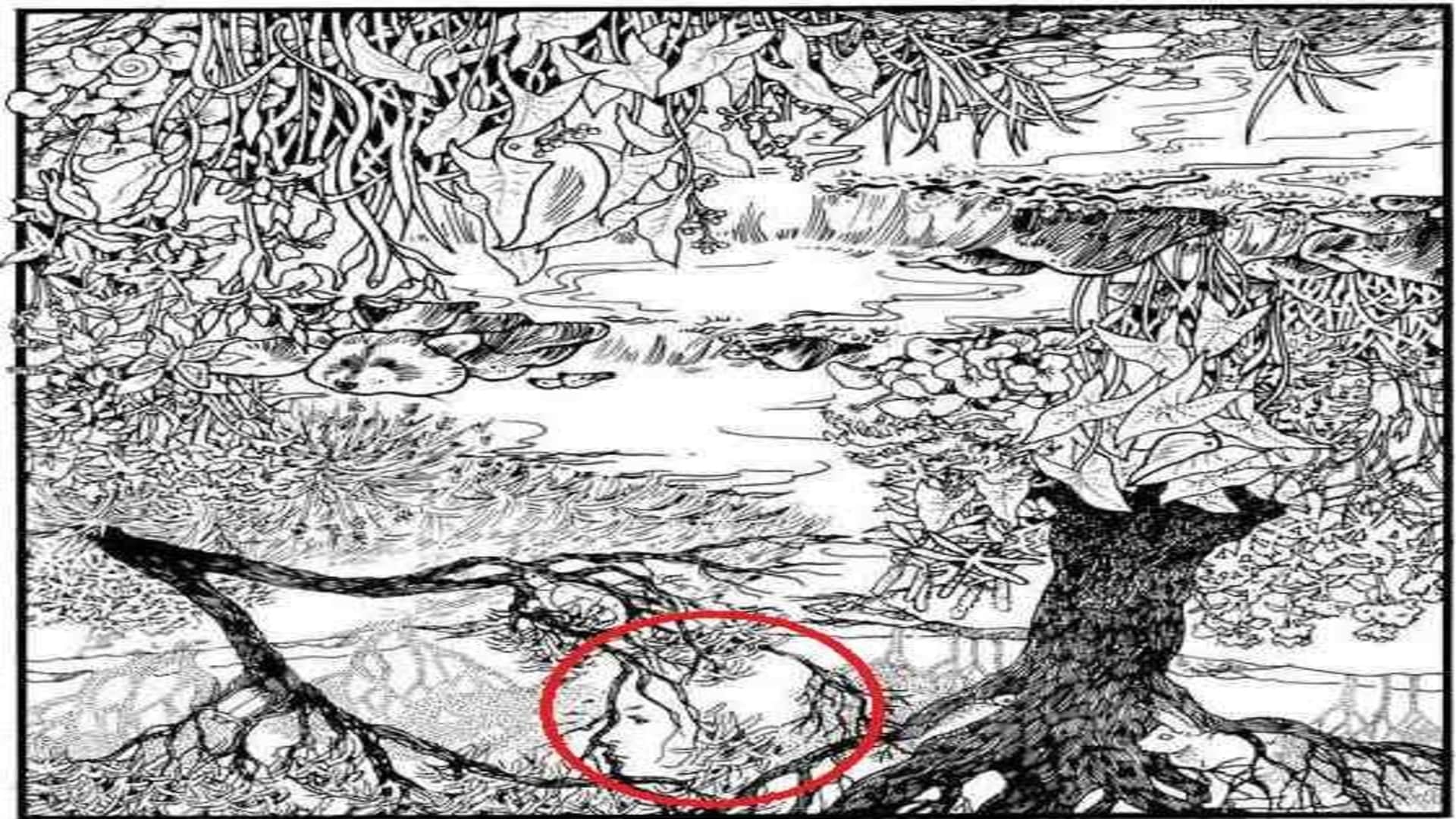 Viral optical illusion Brain Test find Girl’s Face  in photo hidden within 11 seconds brain teaser picture pu