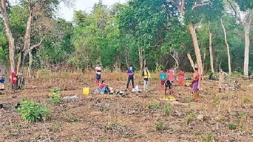 Guthi Koya tribals, Forest officer killing brings vexed Podu lands issue into focus in Telangana