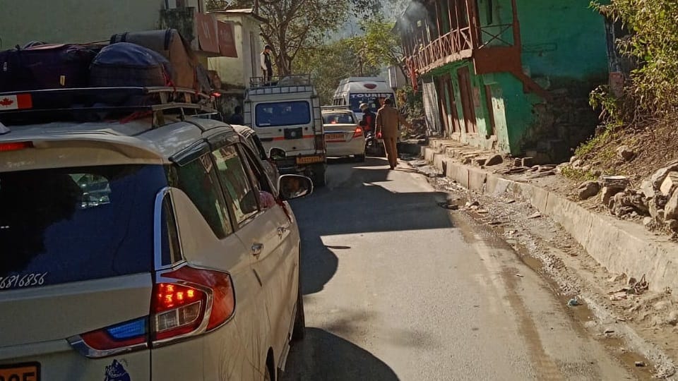 Uttarakhand News: Group of Monkey jammed Karnaprayag Nainital Highway