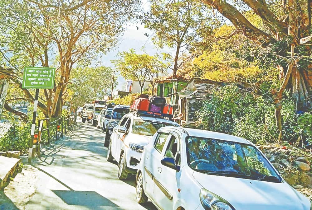 Uttarakhand News: Group of Monkey jammed Karnaprayag Nainital Highway