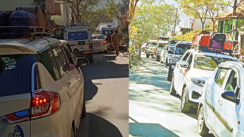 Uttarakhand News: Group of Monkey jammed Karnaprayag Nainital Highway