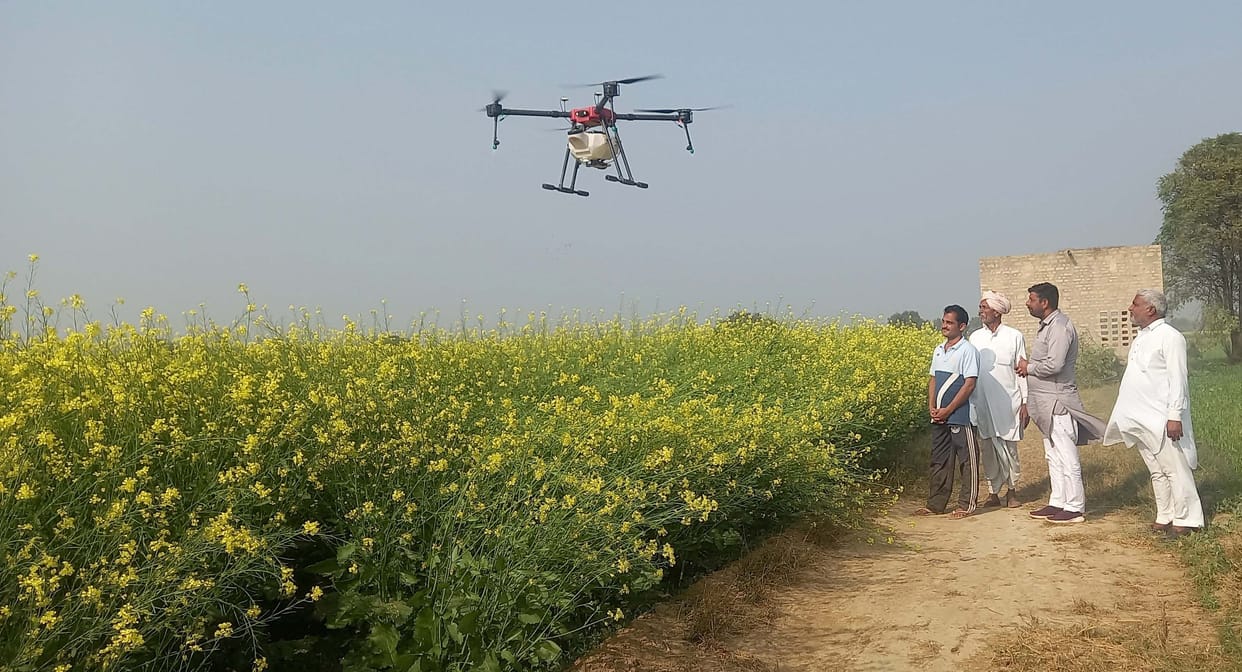 Spraying pesticides with drones on crops in fields
