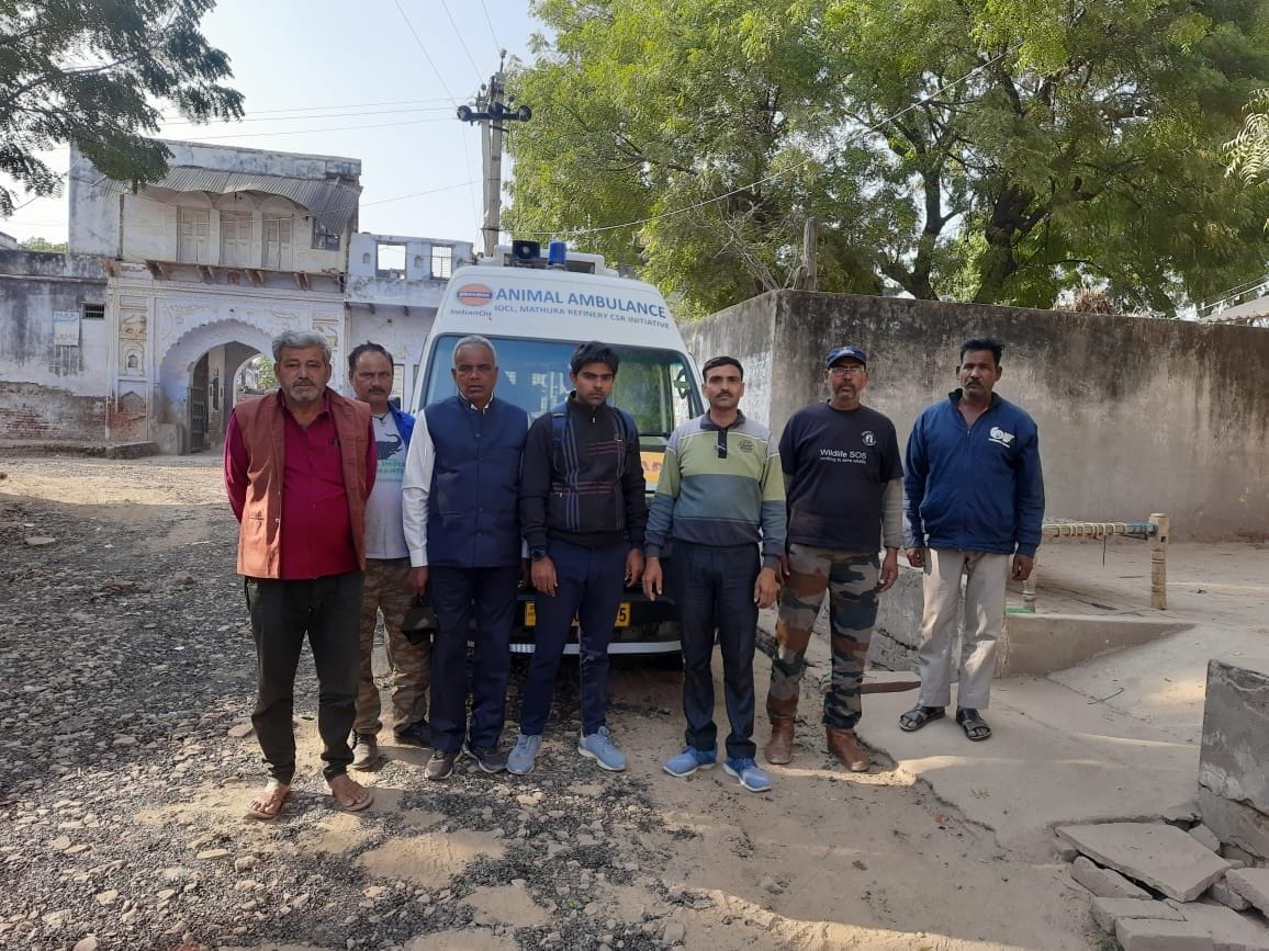Hathras: Rescue team launched a search operation to catch the violent langur