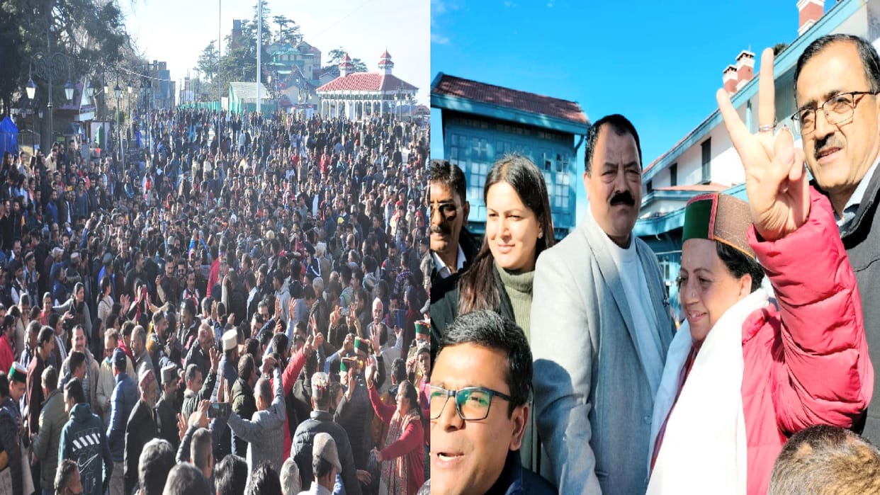 Himachal Election Result 2022 of all 68 assembly seats in Himachal, know who won from which seat