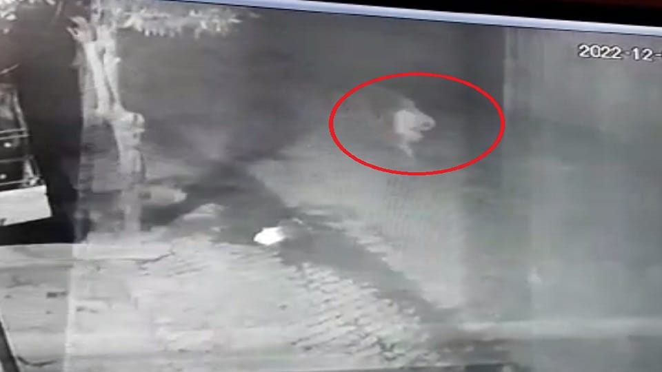 accused ran away from the Khekra police station by jumping the wall climbed the tower in Baghpat