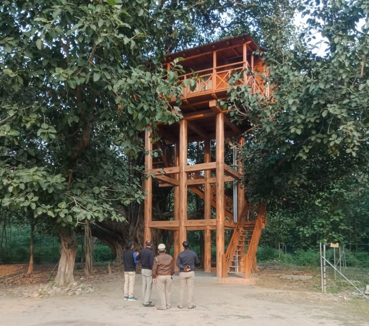 Uttarakhand Tourist Place New Year 2023 tourists will be able to stay overnight in tree house Nainital