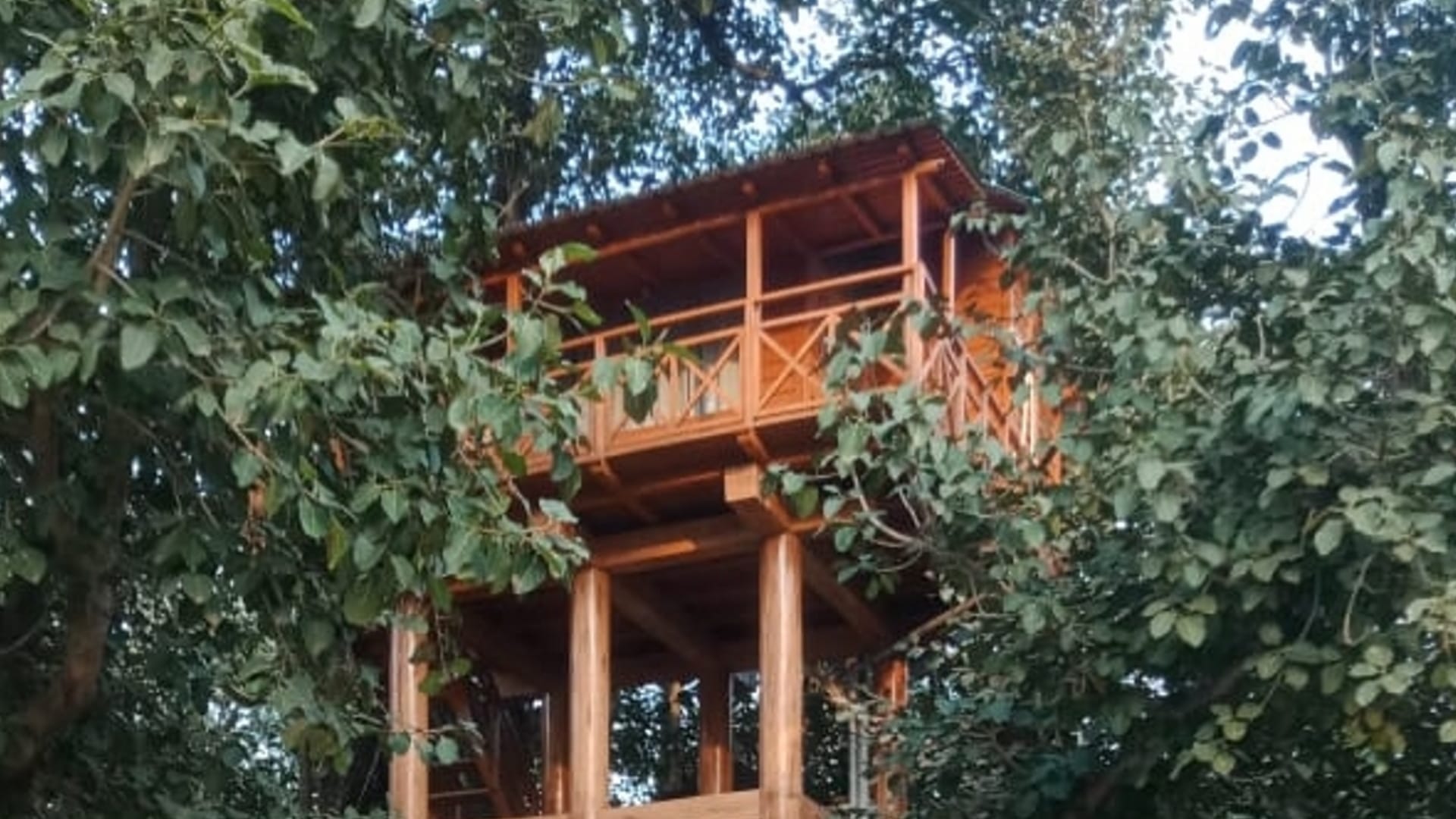 Uttarakhand Tourist Place New Year 2023 tourists will be able to stay overnight in tree house Nainital