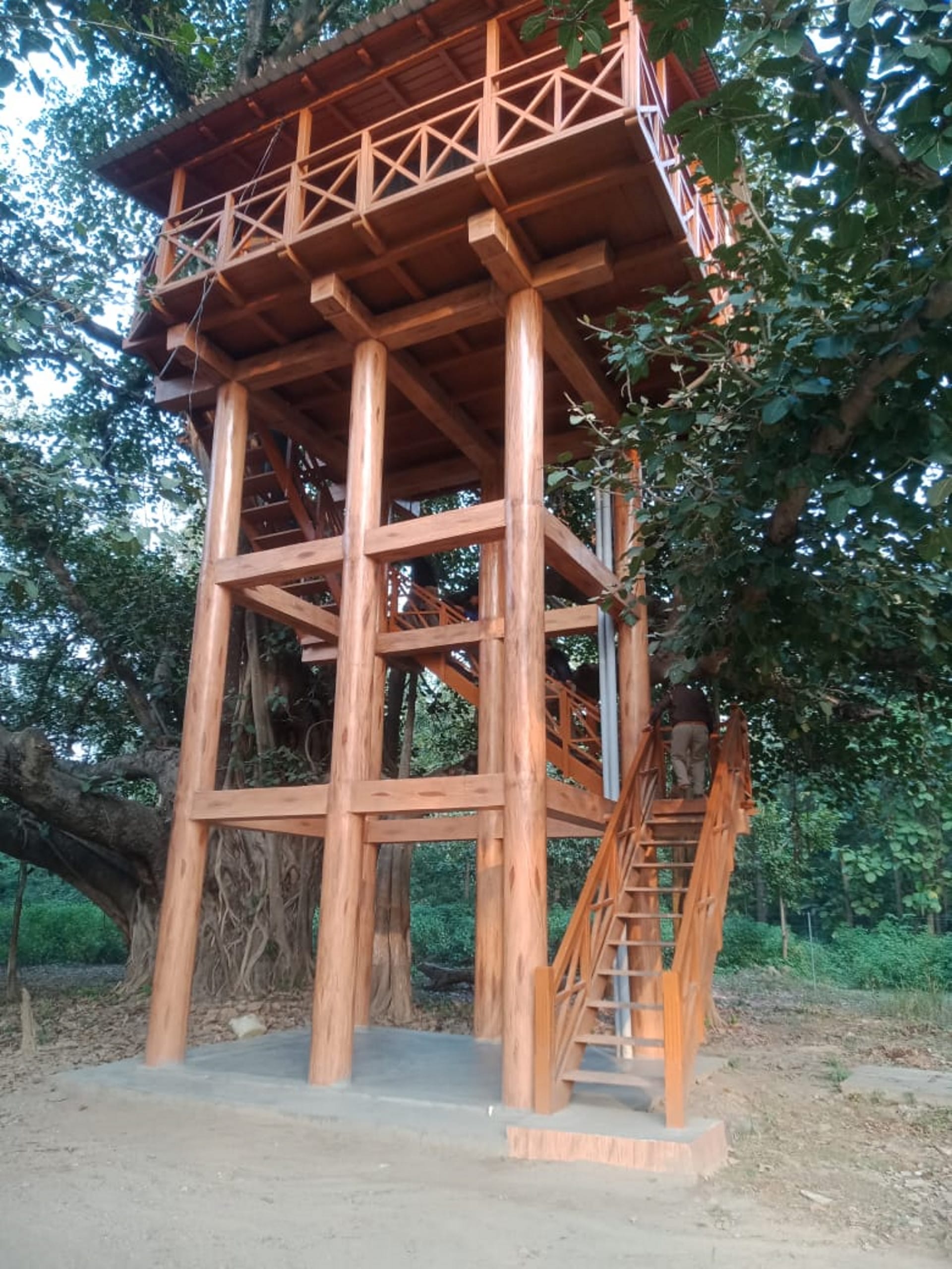 Uttarakhand Tourist Place New Year 2023 tourists will be able to stay overnight in tree house Nainital