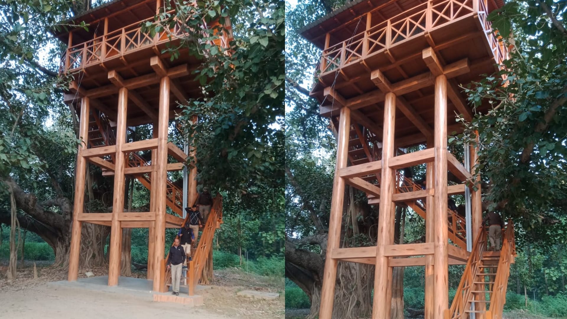 Uttarakhand Tourist Place New Year 2023 tourists will be able to stay overnight in tree house Nainital