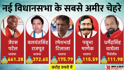 Gujarat New MLA: 29's Hardik-Payal youngest, four out of five MLAs with assets more than 100 crores belong to