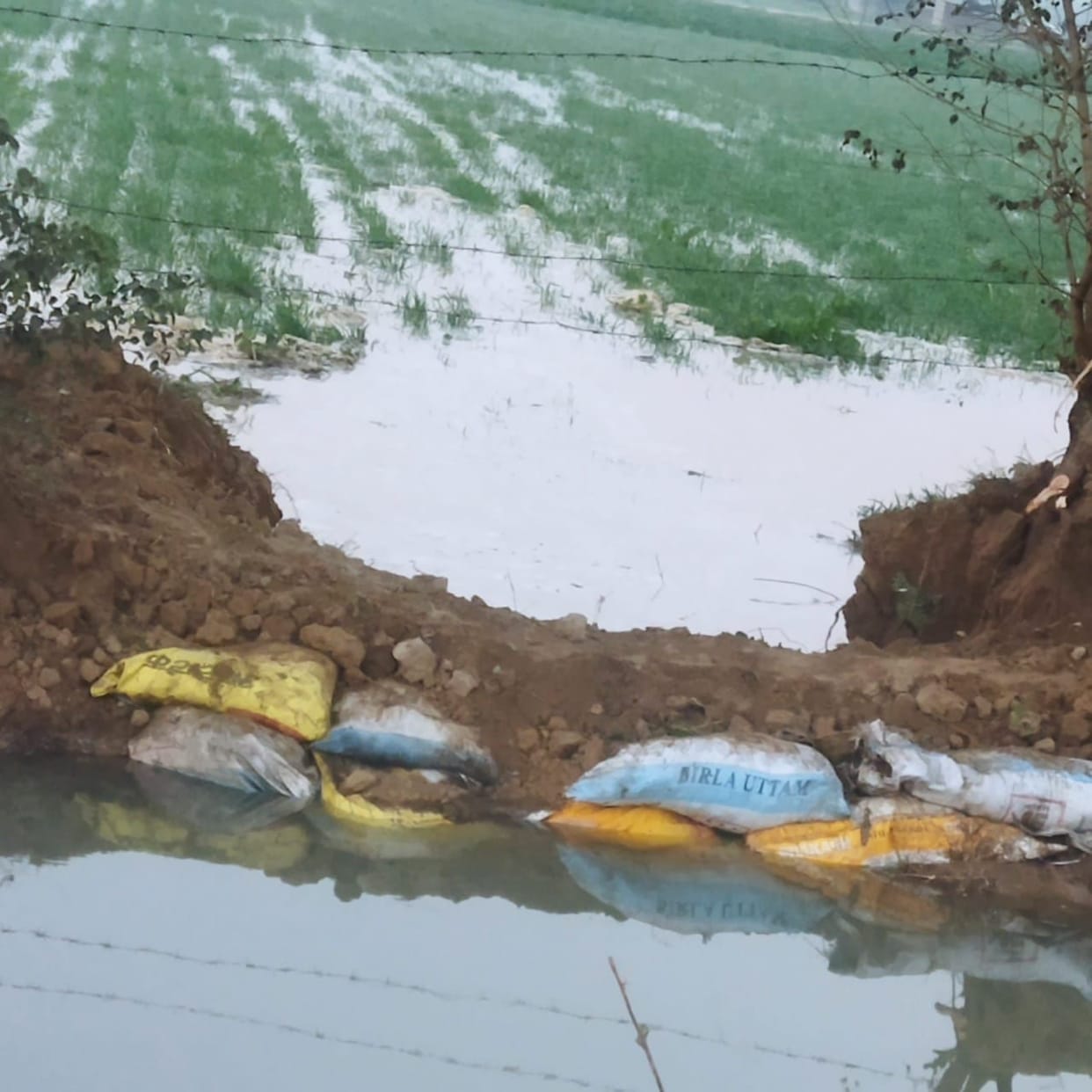 Hathras: Crops submerged due to cutting of Rajbaha track