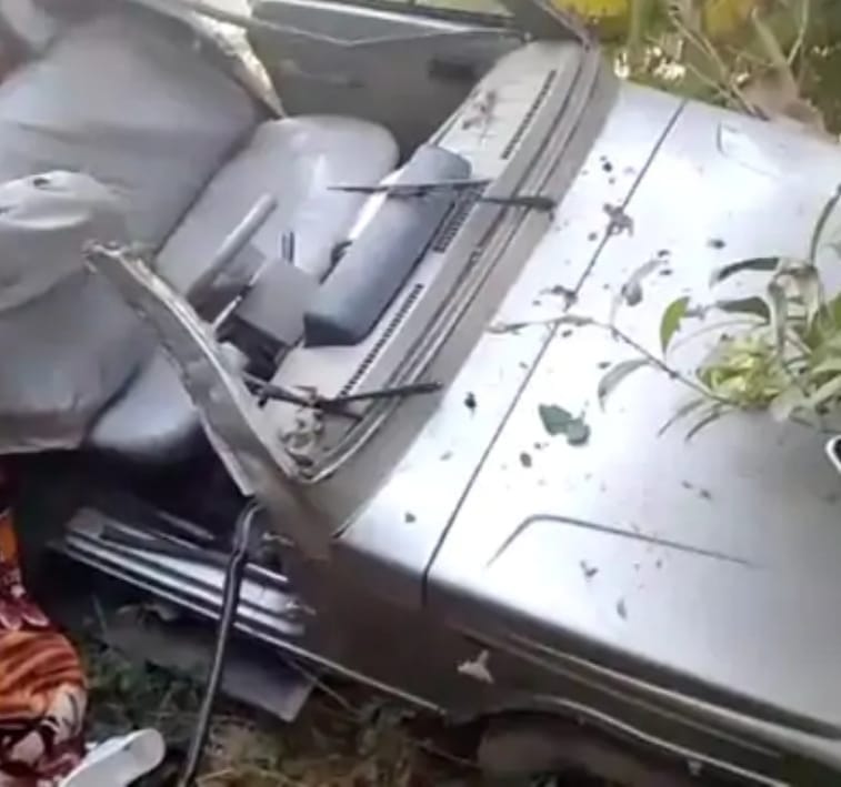 Major accident in Siwan: High speed Bolero collided with a tree, half a dozen injured, woman died