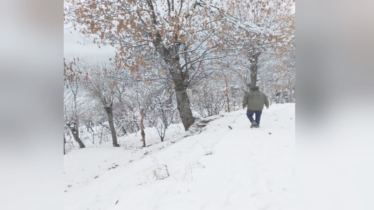 Himachal Weather update, Fresh snowfall in peaks including Rohtang, Pangi, tourists enjoy snowfall in Koksar