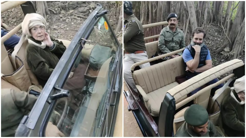 Sonia Gandhi Celebrate Her Birthday In Ranthambore With Rahul Priyanka Rajasthan